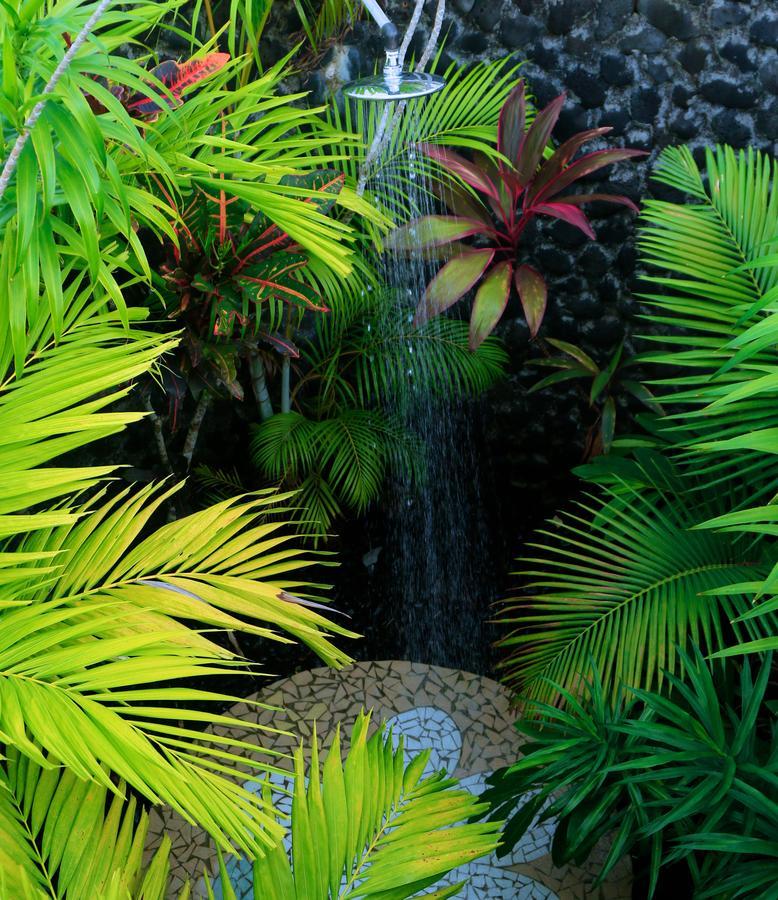 Amoa Resort Savaii Tuasivi Rum bild