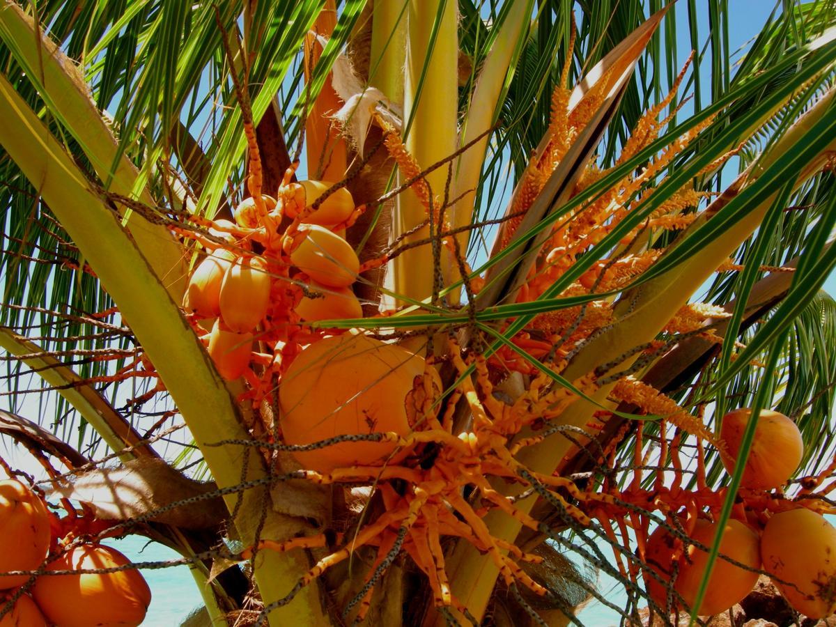 Amoa Resort Savaii Tuasivi Exteriör bild